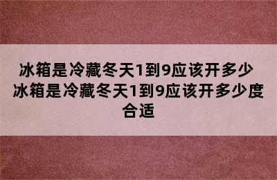 冰箱是冷藏冬天1到9应该开多少 冰箱是冷藏冬天1到9应该开多少度合适